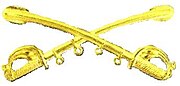 A computer generated reproduction of the insignia of the Union Army cavalry branch