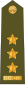 CzArmy 2011 OF5-Plukovnik váll.svg