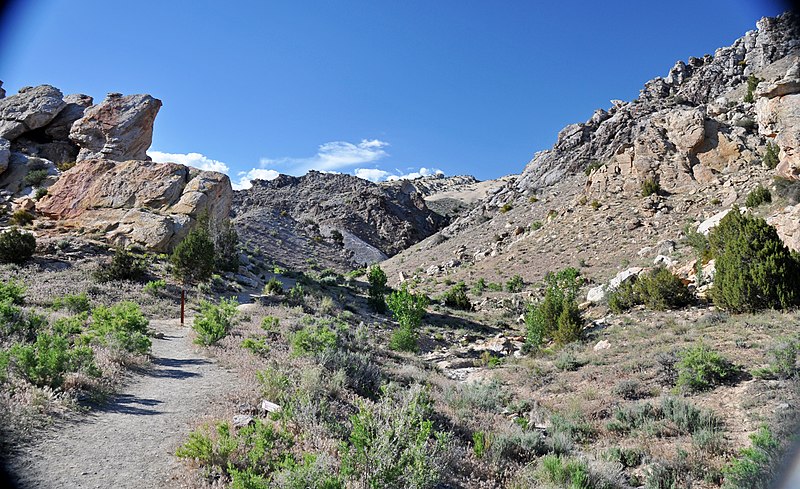 File:Dakota Sandstone (Lower Cretaceous; Dinosaur National Monument, Utah, USA) 12 (48840702477).jpg