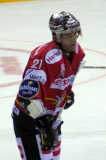 Darren Van Impe Canadian former ice hockey defenceman (born 1973)