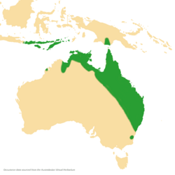 Dendrophthoe-glabrascens-distribution-map.png