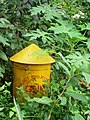 A bin found deserted in a small time forest.