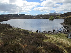 Dock Tarn - geograph.org.uk - 6173075.jpg