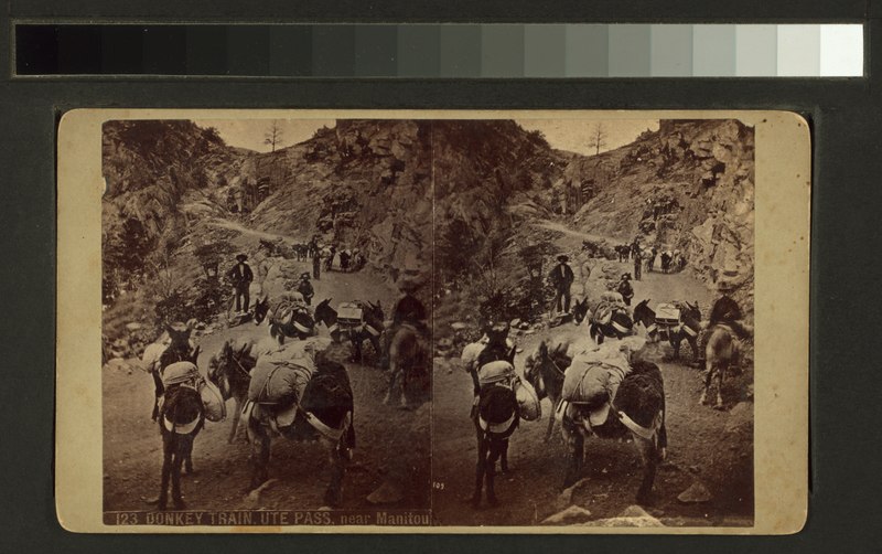 File:Donkey train, Ute Pass, near Manitou (NYPL b11707665-G90F057 010ZF).tiff