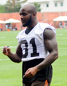 Donte Whitner 2014 formation Browns camp.jpg