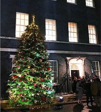 Christmas tree outside Number 10 in 2021