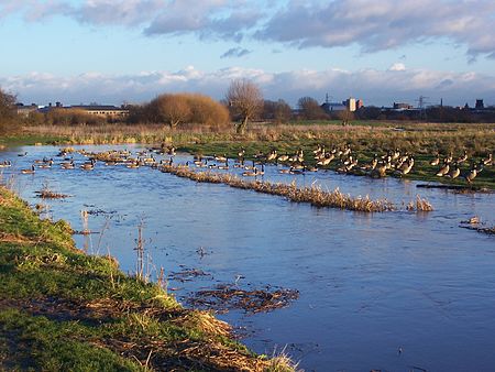 Doxey Marshes 2