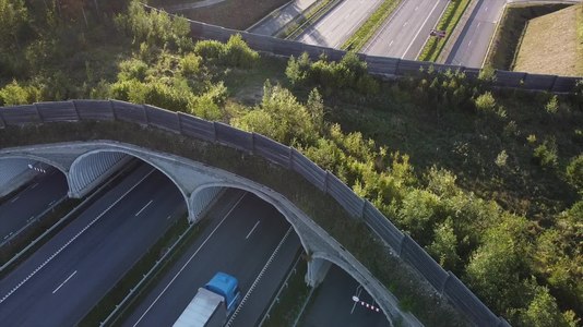 File:Drone video of Kolu wildlife overpass in Estonia.webm