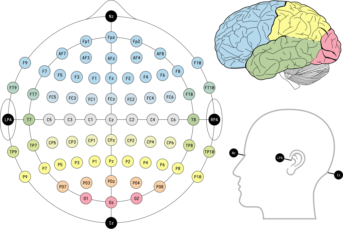 EEG 10-20 System. Схема 10-20 наложение электродов. Электроды 10 20 ЭЭГ. Схема ЭЭГ 10-20.