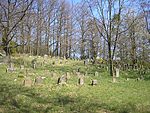 Ebern Judenfriedhof 4.jpg
