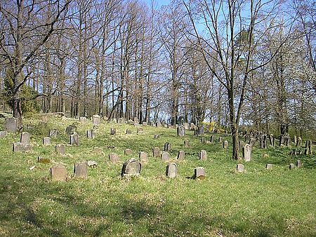 Ebern Judenfriedhof 4