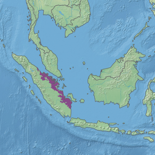 File:Ecoregion IM0160.png