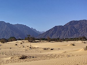 Egypt Sinai Nuweiba - panoramio (2).jpg