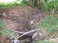 Die Wasser führende Issel (rechts) mündet in den von links, Westen, kommenden Fauerbach (trocken)