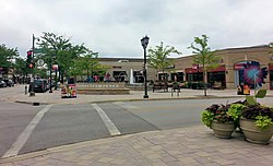 Centre-ville d'Elmhurst.jpg