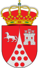 Герб муниципалитета Уэнеха