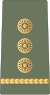 Ethiopian Ground Forces