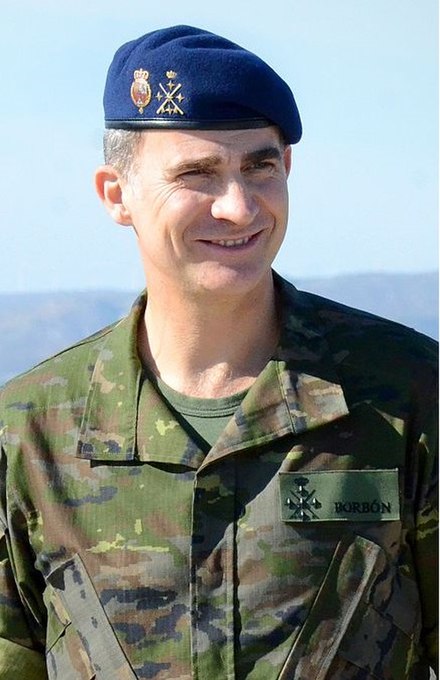 King Philip VI is the current Captain General of the Armed Forces.