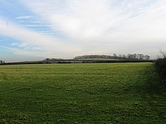 Fields south of Limington - geograph.org.uk - 3264144.jpg