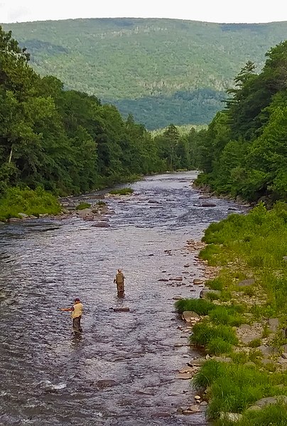 Anglers in the Esopus near Phoenicia, with Mount Tremper in the background, 2020