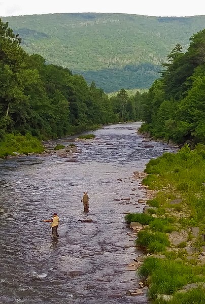 File:Fishermen in Esopus Creek from Woodland Valley Road, Phoenicia, NY.jpg