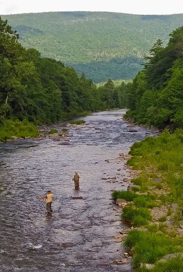 Fly Fishing The BATTENKILL RIVER  Top 100 Trout Stream In America