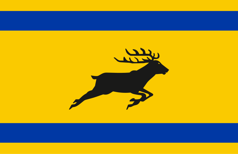 File:Flag of Veluwe.svg