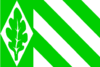 Flagge von Vriezenveen