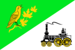 Flag of Zelenograd-Kryukovo (municipality in Moscow).png