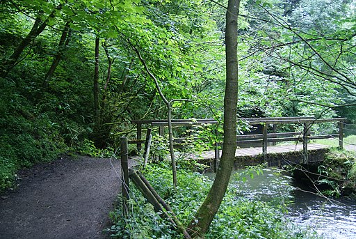 Footbridge in Beresford Dale (geograph 3675711)