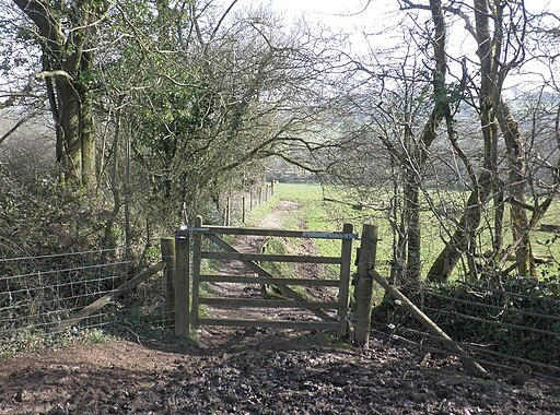 Footpath to Hemyock - geograph.org.uk - 3879801