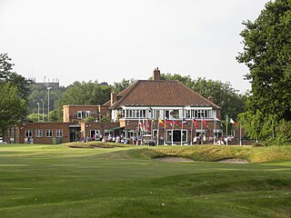 <span class="mw-page-title-main">2013 European Ladies' Team Championship</span> Golf competition