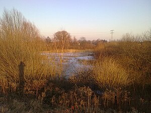 Gehrensee, Berlin Falkenberg, Lichtenberg district.jpg