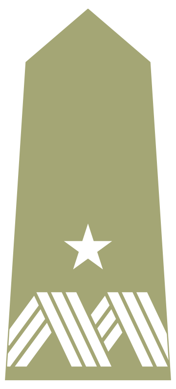 Brigadier general (Poland)