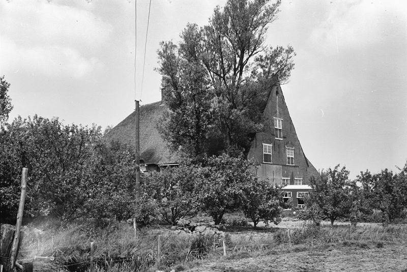 File:Gezicht op de boerderij vanuit het zuidoosten; kruiskozijnen in de topgevel - Hekelingen - 20402768 - RCE.jpg