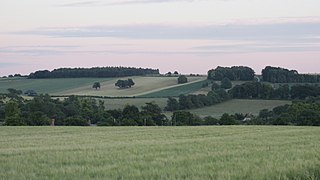 <span class="mw-page-title-main">Vale of White Horse</span> Non-metropolitan district in England