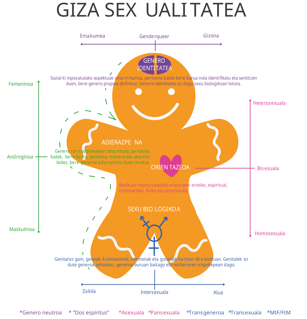 Nerbio-sistema zentral - Wikipedia, entziklopedia askea.