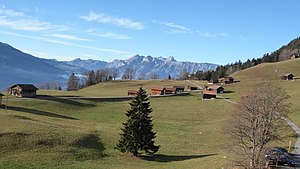 Flora Und Vegetation Des Fürstentums Liechtenstein: Naturraum des Fürstentum Liechtenstein, Pflanzengesellschaften, Naturschutz