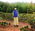 Кинески радник на плантажи чаја у Грузији