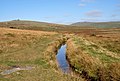 * Nomination A leat on Dartmoor--Nilfanion 00:35, 21 January 2010 (UTC) * Promotion Good image. --Cayambe 18:48, 21 January 2010 (UTC)