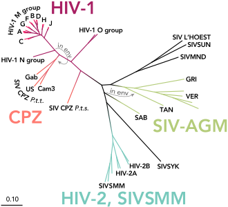 HIV – Wikipedia