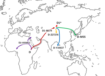Haplogroup D (Y-DNA) migration.png