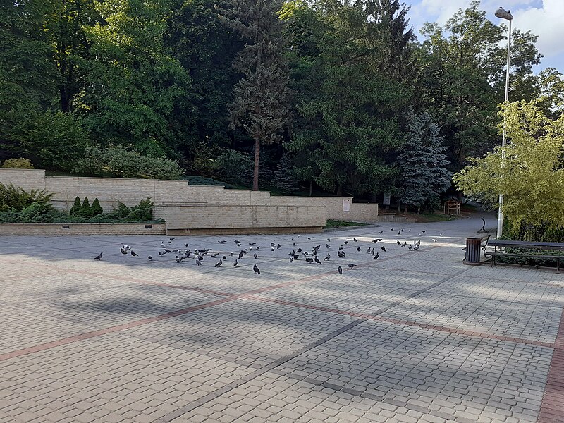 File:Harcerski Square in Sanok (2022).jpg