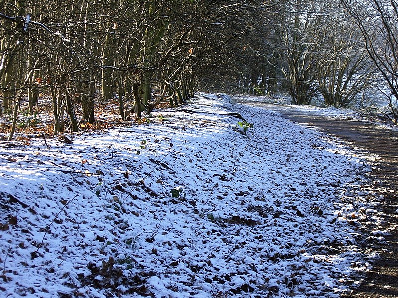 File:Hawthorn Lane - geograph.org.uk - 266947.jpg