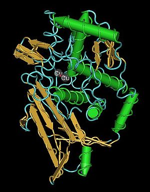 Hemocyanin