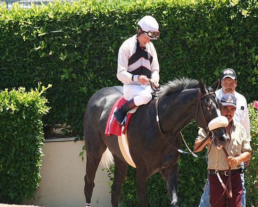 Hollywood Park Richard Migliore