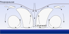 A cyclone showing the flow of moist air as it dissipates energy into the tropopause Hurricane profile.svg