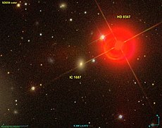 IC 1687 SDSS.jpg