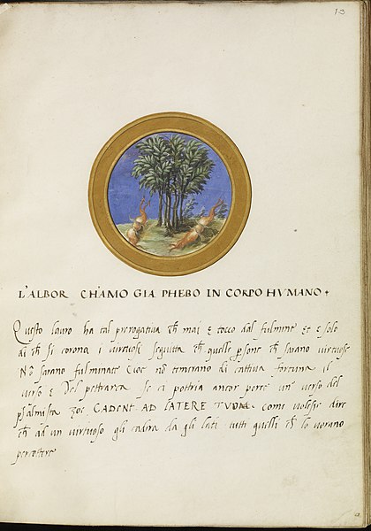 File:Italian - Leaf from Emblem Book - Walters W47613R - Open Obverse.jpg