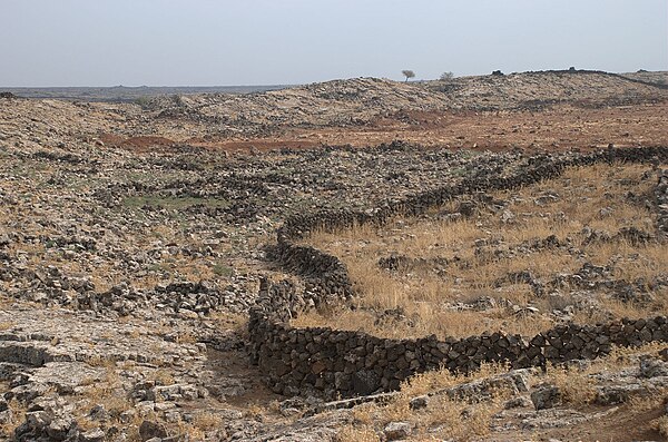 The land of the Hauran plain is arable, consisting of basalt-derived soil, while the Lajat (pictured) has stony ground and scarce vegetation